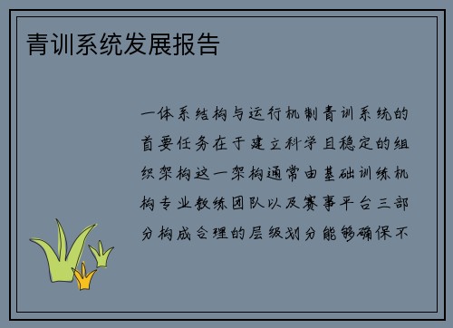 青训系统发展报告